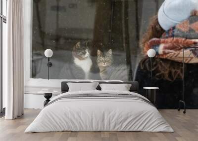 Back view of a woman looking at the two cats inside the glass window Wall mural