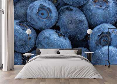 Fresh colorful Bilberries blueberries as a background. Top view blue nature texture Wall mural