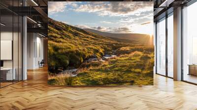 Beautiful, cloudy sunset over a small river flowing through green, grass covered hills in Wicklow Mountains, Ireland Wall mural