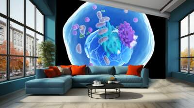 3d illustration of a human cell Wall mural