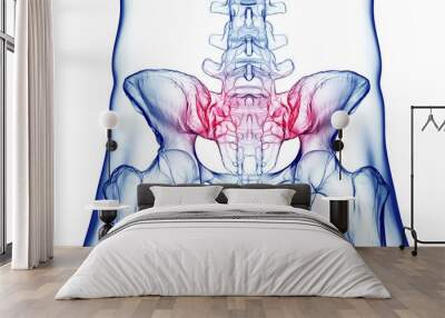 3d medical illustration of a man's pelvis. hip pain Wall mural