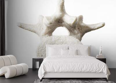 3d rendered illustration of a lumbar vertebrae Wall mural