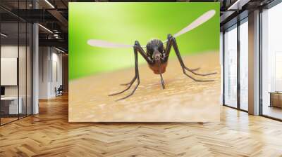 3d rendered illustration of a mosquito on human skin Wall mural