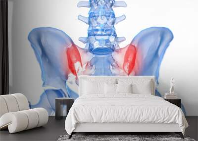 3d rendered illustration of a painful sacroiliac joint Wall mural