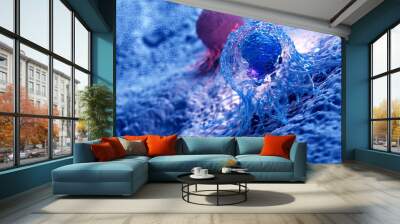 3d rendered illustration of the anatomy of a cancer cell Wall mural