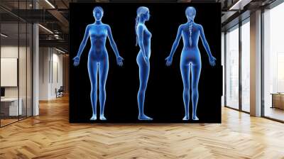 3d rendered medical illustration of a tall female body Wall mural