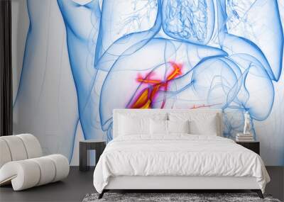 3D rendered Medical Illustration of Male Anatomy - Gallbladder. Wall mural