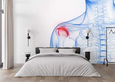 3D rendered Medical Illustration of Male Anatomy - Inflamed Shoulder Joint. Wall mural