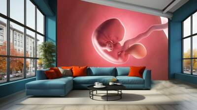 3d rendered medically accurate illustration of a fetus at week 7 Wall mural