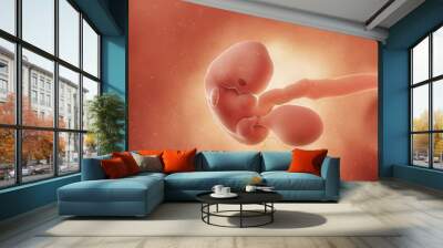 3d rendered medically accurate illustration of a fetus in week 7 Wall mural