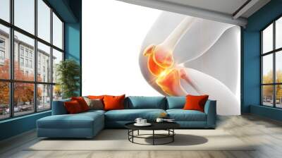 3d rendered medically accurate illustration of a painful knee Wall mural