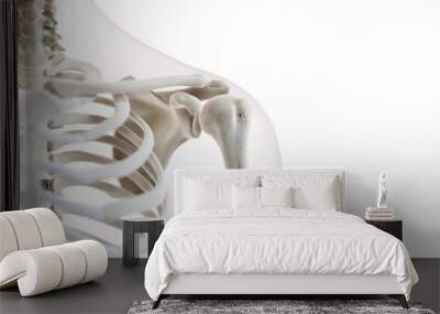 3d rendered medically accurate illustration of the shoulder joint Wall mural