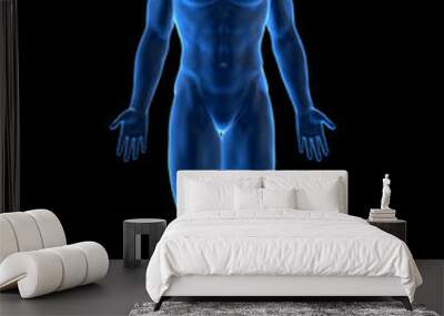 male body Wall mural