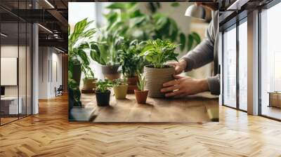 A man in a gray sweater tenderly caring for his indoor plants in a brightly lit room. Wall mural