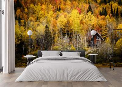 Small cottage surrounded by colors Wall mural