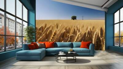 wheat field in the morning Wall mural