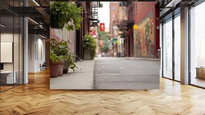 A quiet alleyway with plants and murals, showcasing urban charm. Wall mural