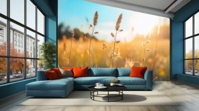 A serene field of tall grass illuminated by warm sunlight. Wall mural