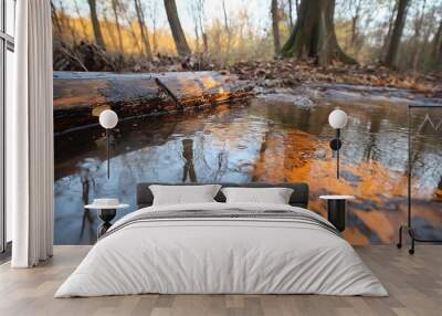 A serene forest scene with a reflective water surface and fallen log. Wall mural