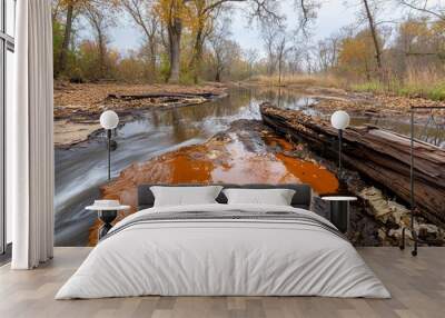 A tranquil river scene with autumn foliage and reflective orange hues. Wall mural