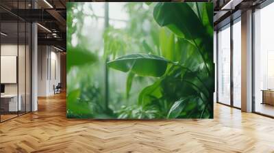 Lush green foliage in a misty environment, showcasing plant life. Wall mural