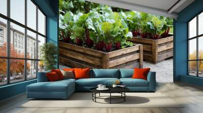 Two wooden planters filled with vibrant leafy vegetables in a garden. Wall mural