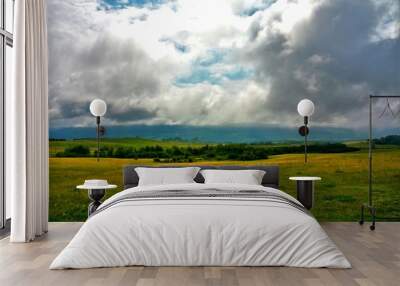 a field with grass and a cloudy sky Wall mural