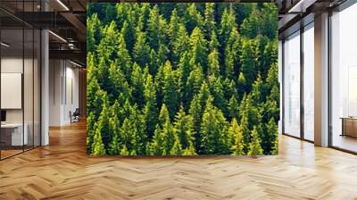 fir forest seen from above Wall mural