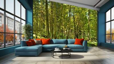 panoramic landscape in the green forest Wall mural