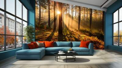 Sunbeams among the trees in the forest in the foggy morning Wall mural