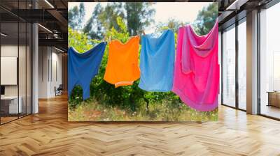 Clothes hanging to dry on a laundry line Wall mural