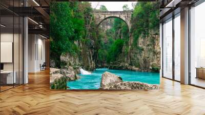 Amazing river landscape from Koprulu Canyon in Manavgat, Antalya, Turkey. Wall mural