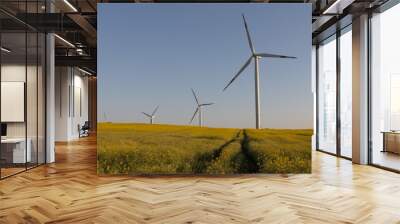 Wind turbines in canola fields in the evening Wall mural