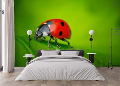 Ladybug and Leaf Wall mural