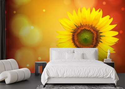 sunflower beautiful, yellow flower Wall mural