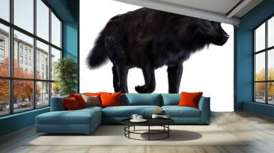 Dire wolf on isolated background, 3D illustration, 3D rendering Wall mural