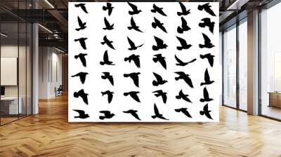 Flying birds silhouettes on isolated background. Vector illustration. isolated bird flying. tattoo and wallpaper background design. sky and cloud with fly bird. color shade palette. Wall mural