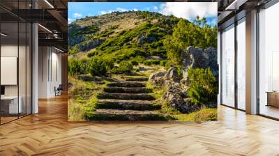 Scenic view from Stairs to Heaven on the island of Madeira, Portugal Wall mural