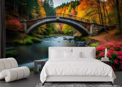 bridge in autumn park Wall mural