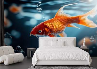 A vibrant goldfish swims gracefully in clear water, surrounded by bubbles, showcasing its shimmering scales and lively movement. Wall mural