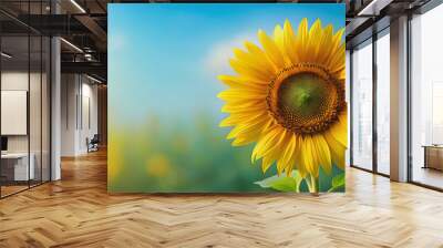 Bright and vibrant sunflower on background, sunflower, yellow, bright, isolated, floral, bloom, petals, sunny, nature, summer Wall mural