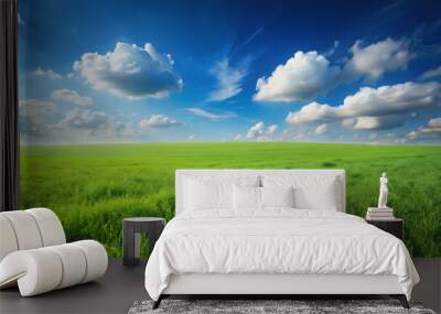 Field of green fresh grass under blue sky, grass, green, field, nature, outdoors, landscape, serene, vibrant, peaceful Wall mural