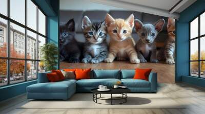 Five Cute Kittens Lined Up. Wall mural