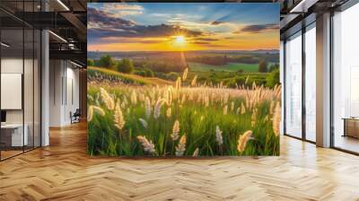 Panoramic view of beautiful natural landscape with blooming wild grass at sunset in warm summer Wall mural