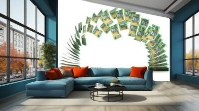 Australian Dollar Transfer Wall mural