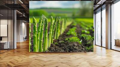 Nutrient-Rich Asparagus Field Wall mural