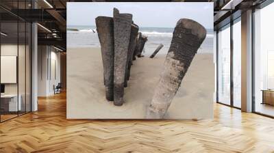 old wood on beach Wall mural