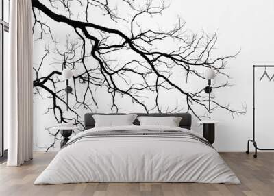 Bare tree branches on a pale white background Wall mural