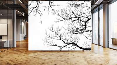 Bare tree branches on a pale white background Wall mural