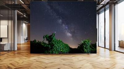 milky way in a vineyard Wall mural